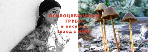 дурь Балахна