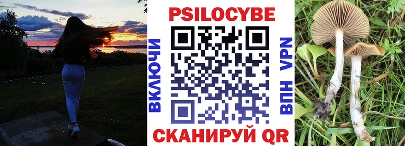 Галлюциногенные грибы GOLDEN TEACHER  Опочка 